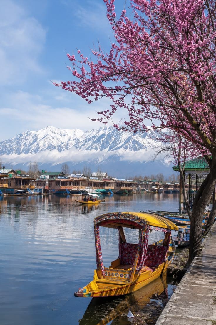 KASHMIR WINTER EXPERIENCE 