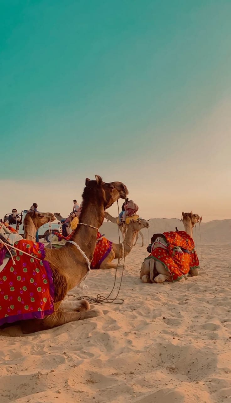 Royal Rajasthan 